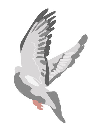 Flying gray dove isolated on white background Grey bird in side back view Vector illustration in flat cartoon style Hand drawn clipartのイラスト素材