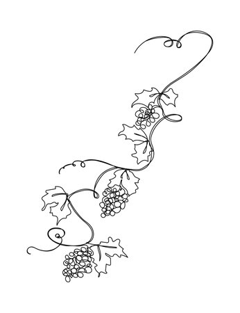 Grape branch one continious line vector illustration isolated on white background Black and white simple design with bunch of grapes and leaves on grapevineのイラスト素材