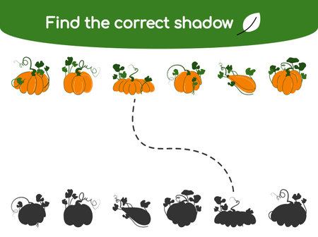 Find the correct shadow. Kids educational game. Cute pumpkins with leaves in different shapes. Vector illustration in flat cartoon style for childrens books and magazinesのイラスト素材