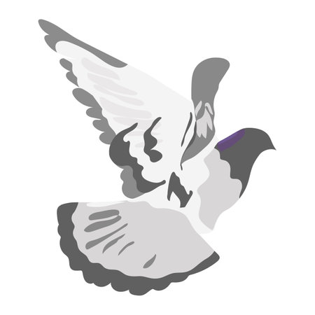 Flying gray dove isolated on white background Grey bird in view from the back Vector illustration in flat cartoon style Hand drawn iconのイラスト素材