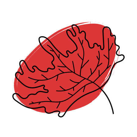 Hand drawn maple leaf with brush stroke. Black outline element on red spot. Vector illustration isolated on transparent background. Canada symbol clip artのイラスト素材