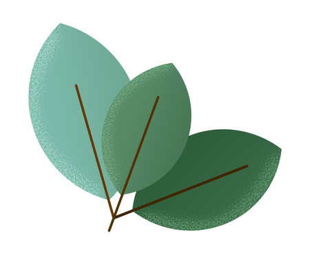 Three green leaves design elements. Flat style foliage with grain texture. Simple modern vector illustration isolated on transparent backgroundのイラスト素材