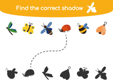 Find the correct shadow. Kids educational game. Cute bright indects: butterfly, dragonfly, bee, bug, bumblebee, moth. Vector illustration in flat cartoon style for childrens books and magazinesのイラスト素材