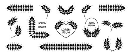 Set of wheat ears icons. Rye, barley, cereal design templates and frames with copy space for logo. Black grain sign collection. Hand drawn bread, beer symbols. Vector illustrationのイラスト素材