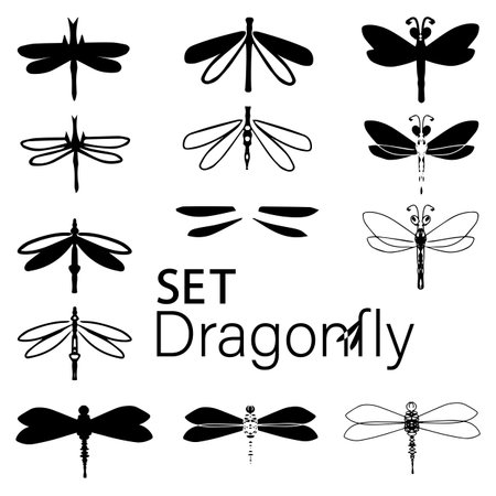 Flat style black dragonfly silhouettes isolated on white background Icon vector set with logo designのイラスト素材