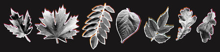 Autumn leaves halftone collage set. Cutout magazine shapes, modern retro floral elements, grunge punk stickers. Creative vector illustration isolated on dark backgroundのイラスト素材