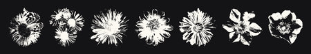 Retro photocopy effect negative elements set. Wild flowers heads with grunge messy texture. Trendy y2k aesthetic vector illustration. Ideal for poster design, t shirt, tee print, sweatshirtのイラスト素材