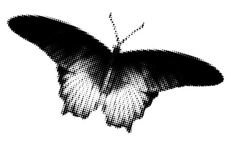 Sitting or flying butterfly with wide wings halftone collage element with grunge dotted texture. Trendy modern retro vector illustration isolated on transparent backgroundのイラスト素材