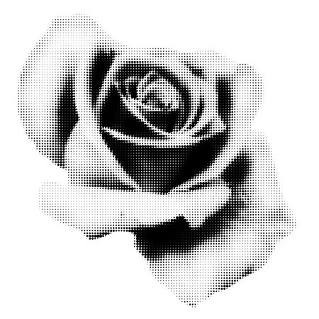 Beautiful rose halftone collage element. Vintage punk dotted flower, retro modern floral design. Vector illustration isolated on transparent backgroundのイラスト素材