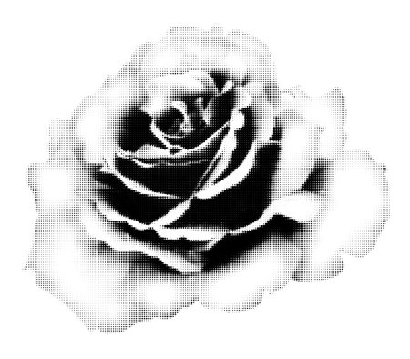 Lush rose halftone collage element. Vintage flower, retro modern floral dotted clip art. Vector illustration isolated on transparent backgroundのイラスト素材