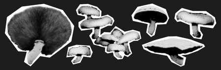 Trendy collage elements set halftone forest mushrooms vector illustration isolated on dark background. Cut out of magazine shapes for grunge punk mixed media designのイラスト素材