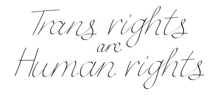 Trans rights are human rights hand written text phrase quote vector illustration isolated on transparent background. Simple line lettering ideal for t shirt printのイラスト素材