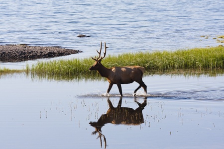 Mirrored Lifeの写真素材