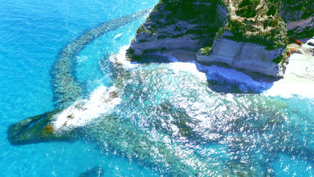 Tropea mareの写真素材