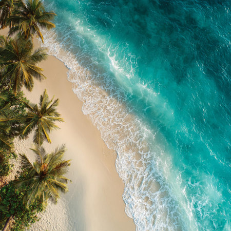 Aerial view of beautiful tropical beach and sea with coconut palm tree