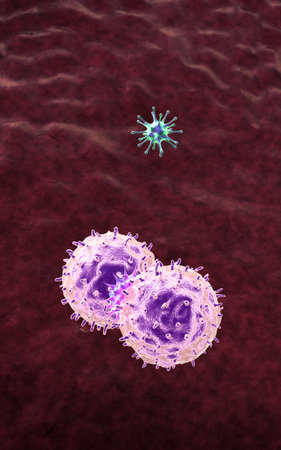 virus and lymphocytes