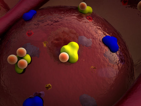 receptors, cell structure of the molecule