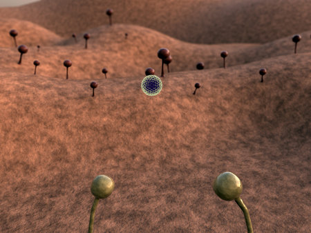 fungus, fungus on the leather surface, landscape of microworld, reproduction of fungi, fungus...