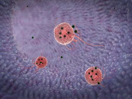 viruses in the blood, inside the blood vessel, High quality 3d render of blood cells, viruses in the human bodyの写真素材