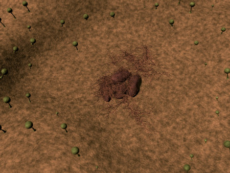 fungus spores, fungus spores, Mold spores, fungus on the leather surface, fungus releases spores,...