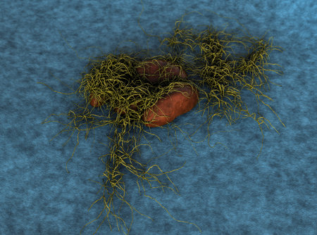 fungus spores, fungus spores, Mold spores, fungus on the leather surface, fungus releases spores,...