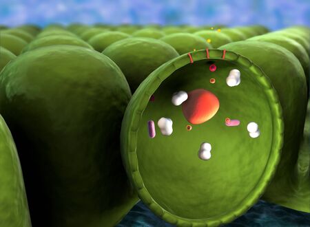 mechanism of action of insulin, glucose, Human Insulinの写真素材