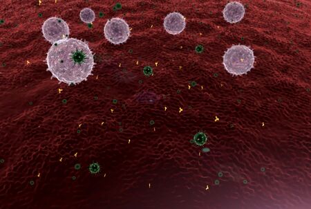 Lymphocytes against viruses, lymphocyte generates antibodiesの写真素材