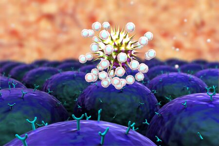 Human Immune System attack the virusの写真素材