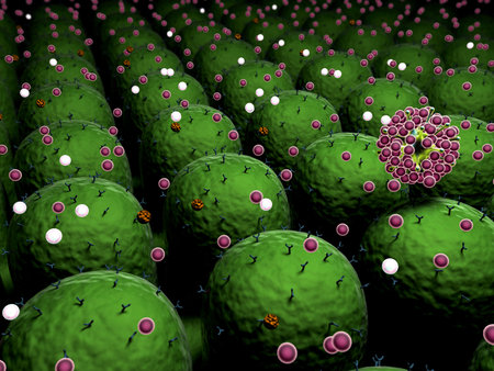 field of cells with receptors, Human Immune System attack the virus, virus attack the cells