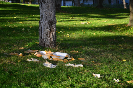 Food waste of a picnic under a pine tree in a park, environmental pollution concept