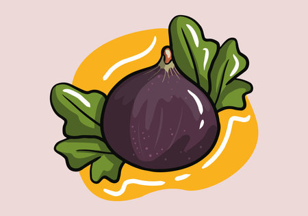 Hand drawn, cut half and whole dragon fruit, Summer tropical fruit, cartoon flat icon, vector illustration sketch isolated on white backgroundのイラスト素材