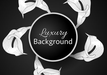 Elegant banner with intricate, parallel white lines on a dark background. Vector pattern, abstract geometric.のイラスト素材