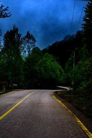 road in the forestの写真素材