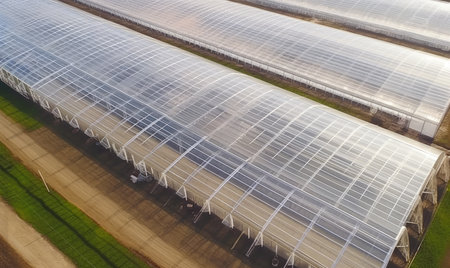 Discover a haven of greenery and sunlight inside a transparent-roofed greenhouse. Creating using generative AI toolsの素材