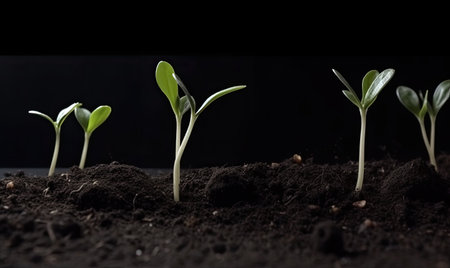 A small but thriving garden of young plant seedlings Creating using generative AI toolsの素材