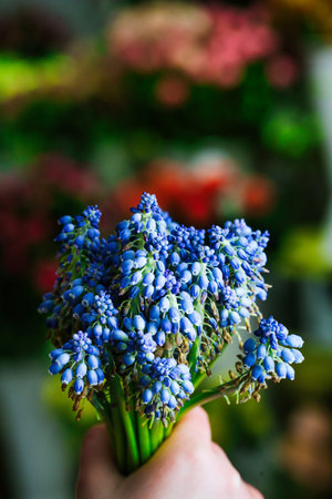 A hand gracefully holds a beautiful bunch of blue flowers, with ample copy space for creative use.