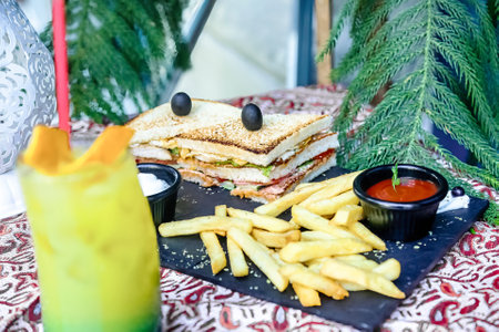 A plate holding a sandwich and a serving of french fries.の写真素材