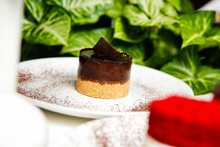 One chocolate dessert with crumb crust on a white plate. Cocoa powder dusted around it with green foliage in the background.の写真素材