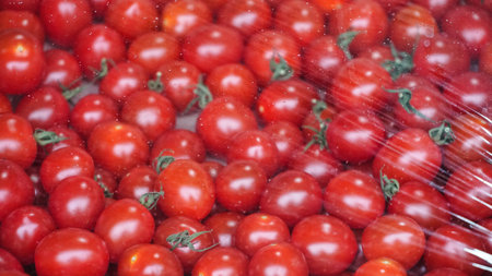 A close-up view of fresh, red cherry tomatoes tightly packed together and wrapped in clear plastic.