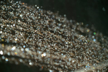Water droplets glisten on a textured surface, capturing light and creating a rainbow of colors. The...