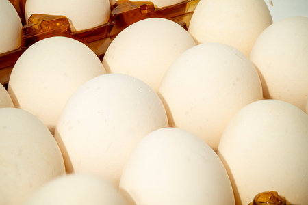 A collection of fresh white eggs is displayed in a carton, showing their smooth surfaces. The bright...