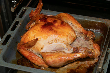 A plump turkey is roasting in an oven, showing a beautifully browned skin. It is positioned in a tray, with juices pooling beneath, ready for celebration.の写真素材