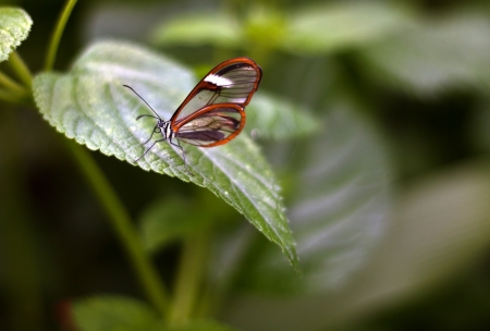 Gläserenの写真素材
