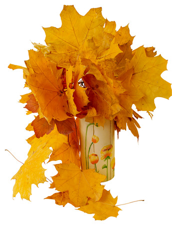 Yellow autumn dry leaves in a white ceramic vaseの写真素材