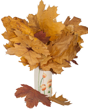 Armfuls of dry leaves in a ceramic vase on a white backgroundの写真素材