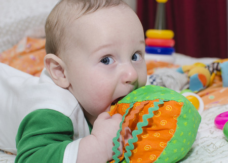 Baby lying biting soft toy color, close-up.の写真素材