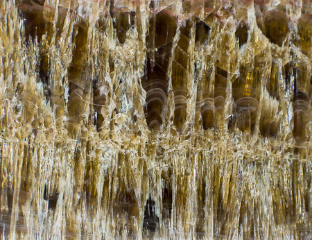 Sixth texture of translucent brown mineral with concentric fragmentsの写真素材