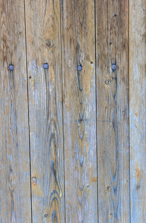 Wooden background the nekrashennykh of figured boards with nails.の写真素材