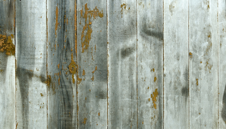 The wooden panel from vertical boards with yellow spots.の写真素材