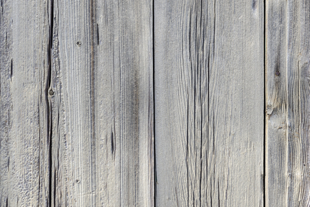 Background from light gray wide old the rastreskanykh of boards.の写真素材